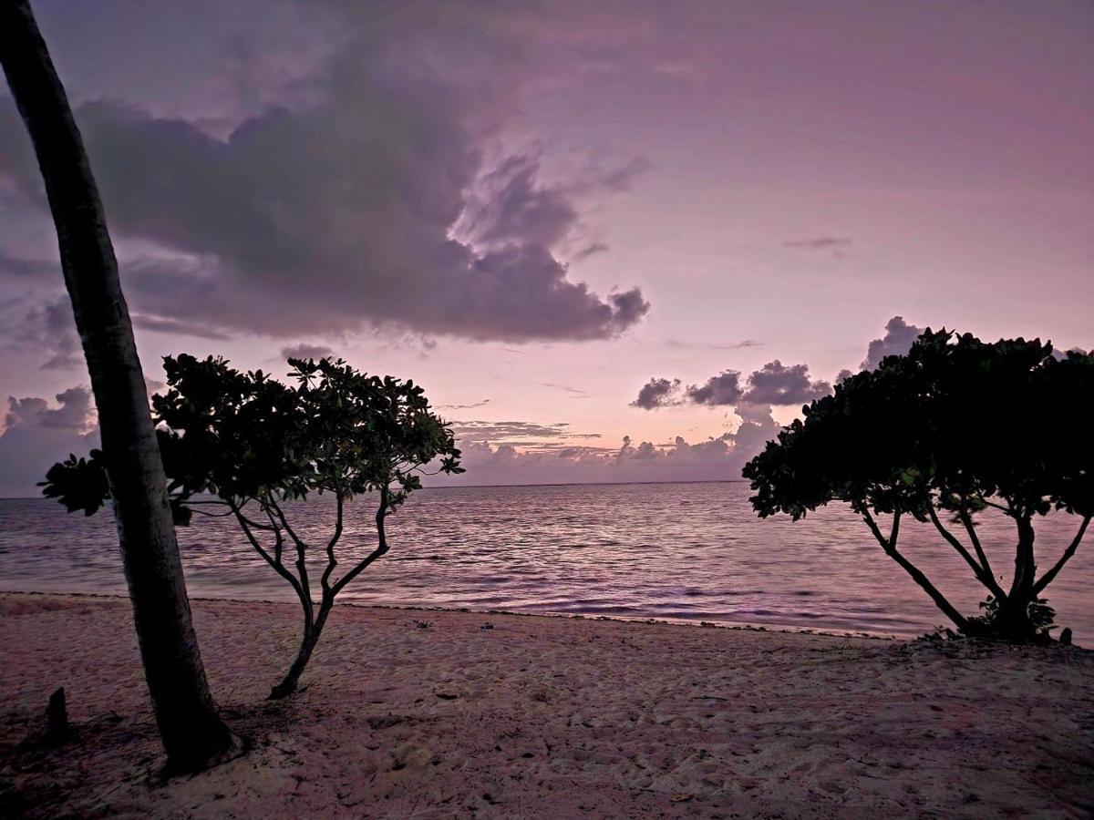 Almas Beach Boutique Hotel Makunduchi Bagian luar foto